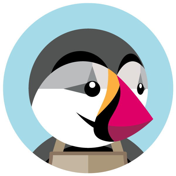 Icon Prestashop