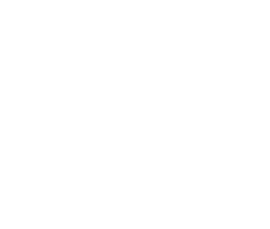 Icon Symfony